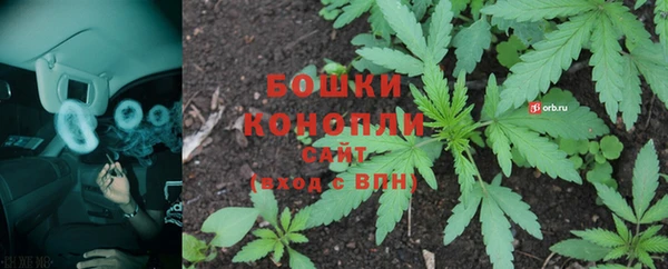 наркотики Бородино