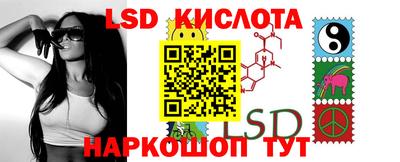 МДПВ Донецк