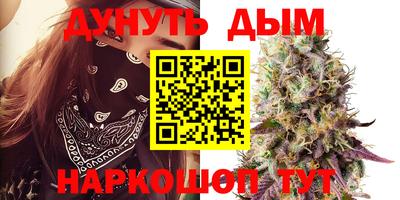 МДПВ Донецк