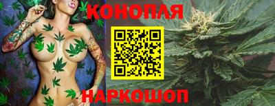 МДПВ Донецк
